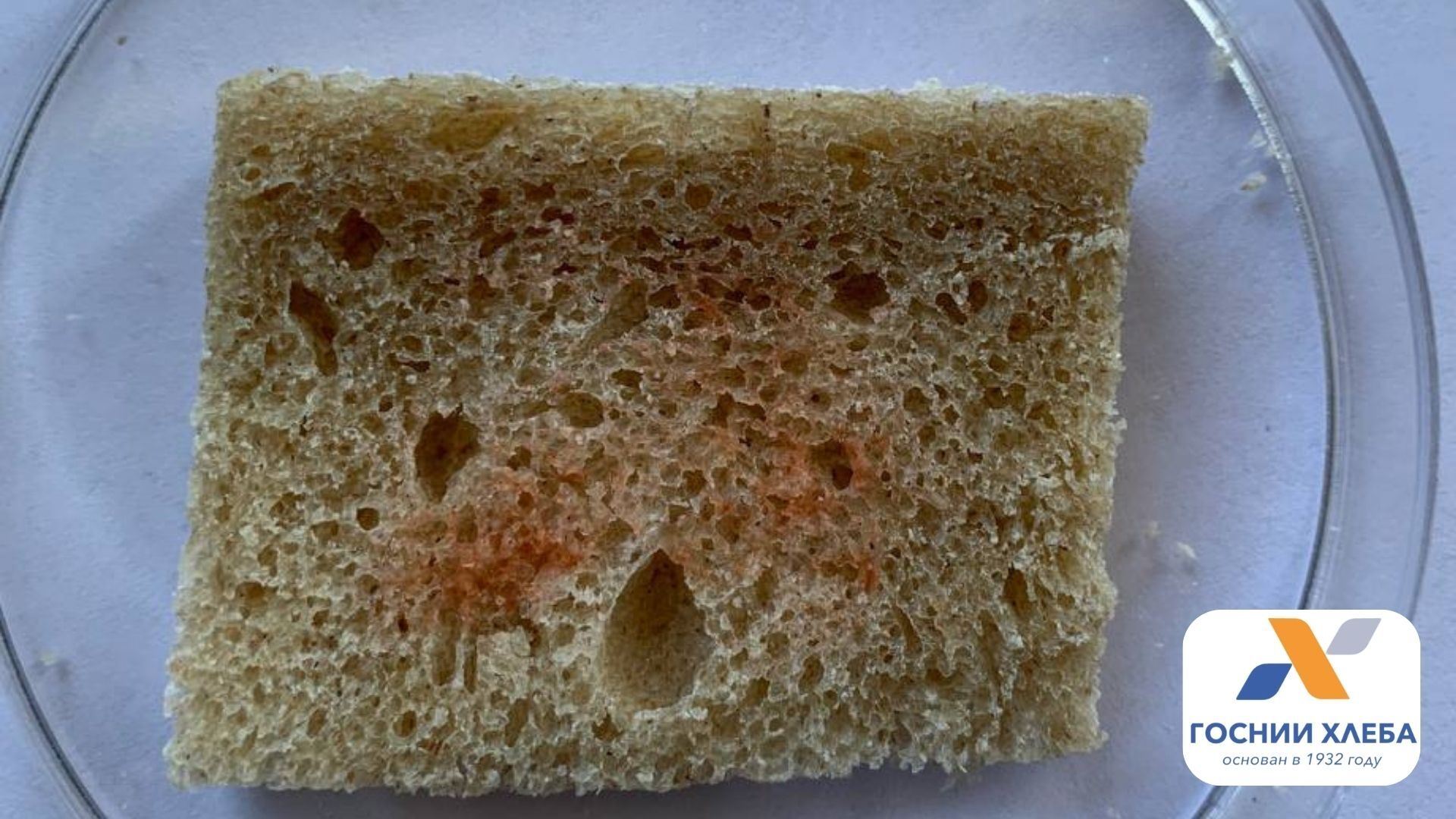 Пигментация хлеба вызывается разными видами бактерий