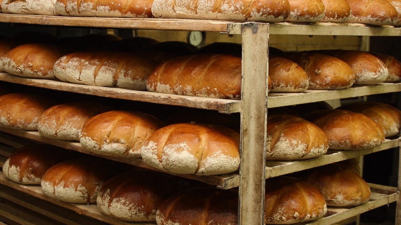 vyroba chleba 44